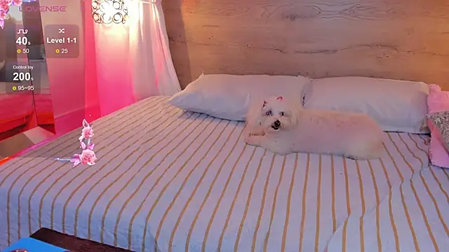 Sooffii 1 online show from February 2025 11:13:02 PM