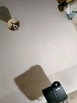 Snapshot of Erimyka chatting on February 2026 12:59:01 AM Erimyka online show from February 2026 12:59:01 AM