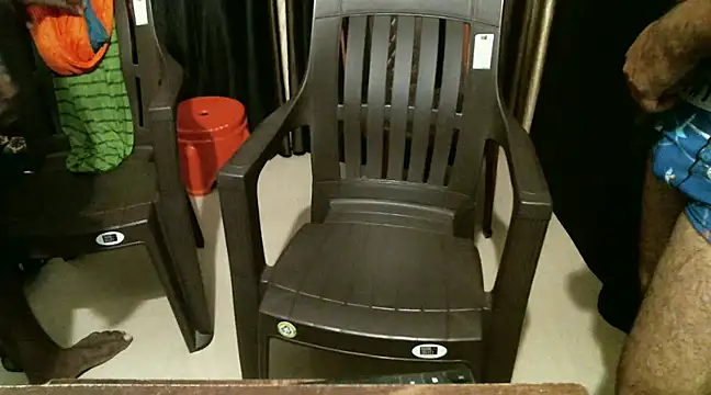 indian2 online show from December 2024 04:46:02 PM