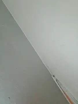 Stomps33 online show from February 2026 10:58:02 PM