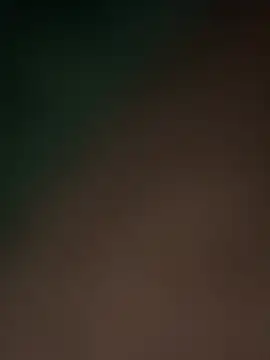 Terrafirma online show from February 2025 11:49:01 AM