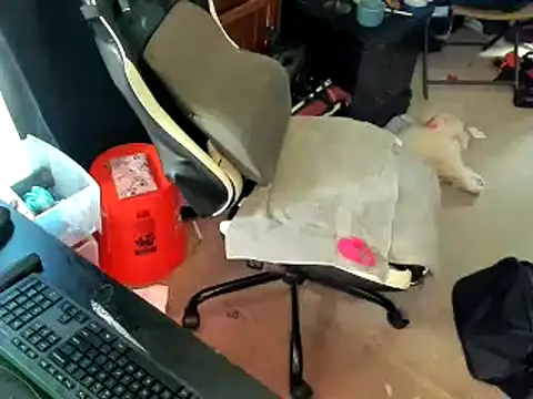 Daddysthick online show from March 2026 02:28:02 PM