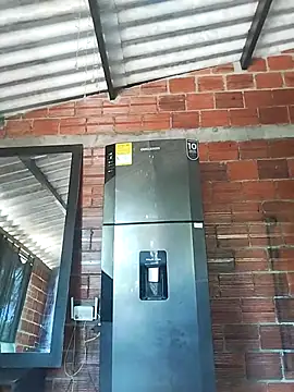 Yelly online show from March 2026 03:40:01 PM