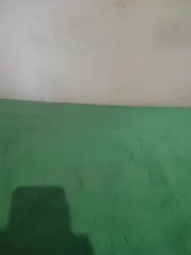 Snapshot of _Scorpion_ chatting on February 2025 07:38:01 PM Scorpion online show from February 2025 07:38:01 PM