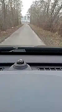 ichgross online show from February 2025 02:37:01 PM