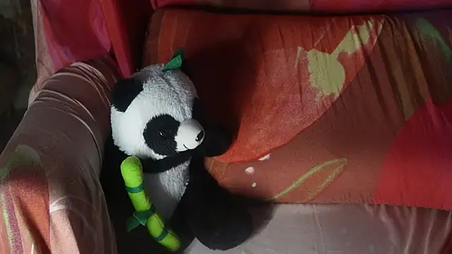 Snapshot of -AyeshaSinghania- chatting on October 2025 06:12:01 PM -AyeshaSinghania- online show from October 2025 06:12:01 PM