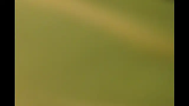 -AyeshaSinghania- online show from March 2026 10:21:02 AM