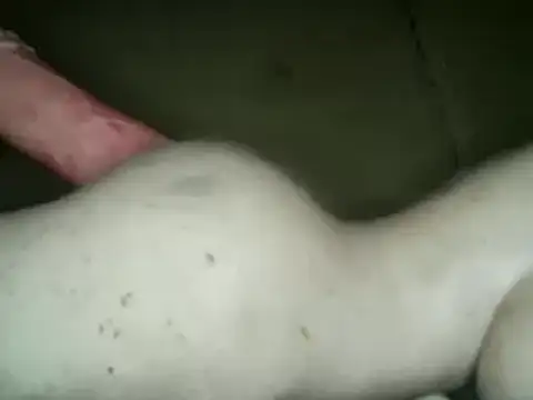 xxxlecram online show from March 2025 04:17:02 AM