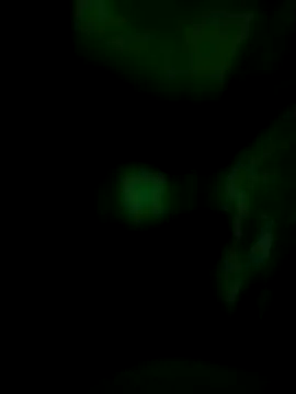 Vuyokaki online show from November 2025 02:37:02 AM