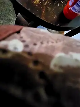 pajarol5co online show from January 2025 12:16:01 AM