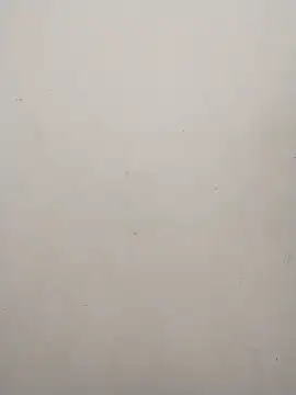 Shuttii 25 online show from December 2024 07:56:02 AM