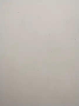 Shuttii 25 online show from December 2024 06:20:02 AM