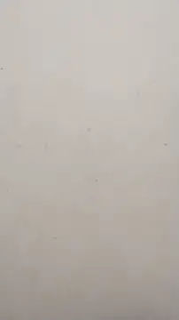 Shuttii 25 online show from January 2025 04:38:02 AM