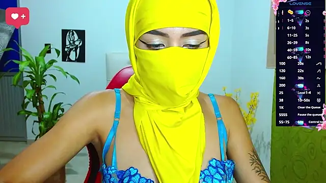 Snapshot of _alabina_ chatting on March 2025 12:17:01 AM alabina online show from March 2025 12:17:01 AM