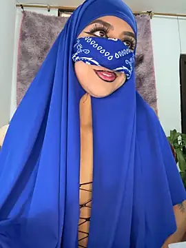 Snapshot of _alabina_ chatting on September 2025 02:54:01 PM alabina online show from September 2025 02:54:01 PM