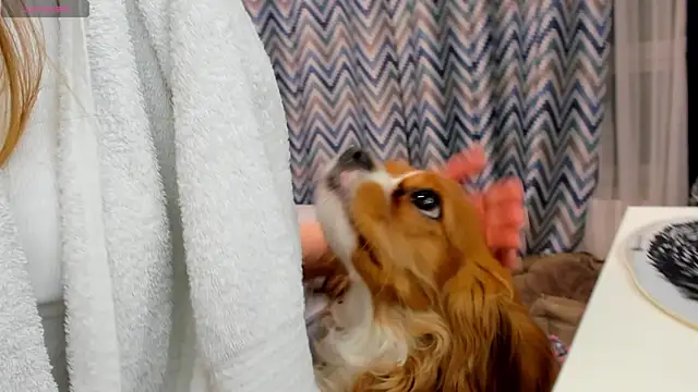 Snapshot of Peggy_Beauty chatting on January 2025 12:19:02 AM Peggy Beauty online show from January 2025 12:19:02 AM