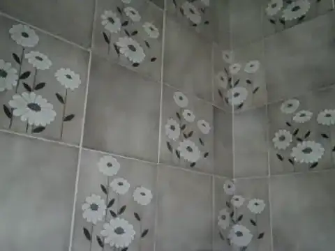 joaodias 97 online show from January 2025 10:12:02 PM