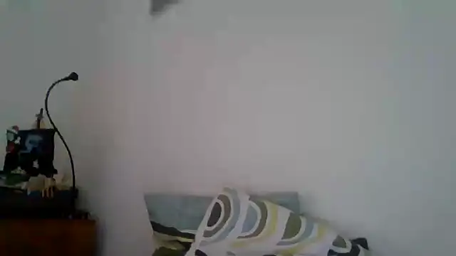 joaodias 97 online show from February 2025 02:26:01 PM