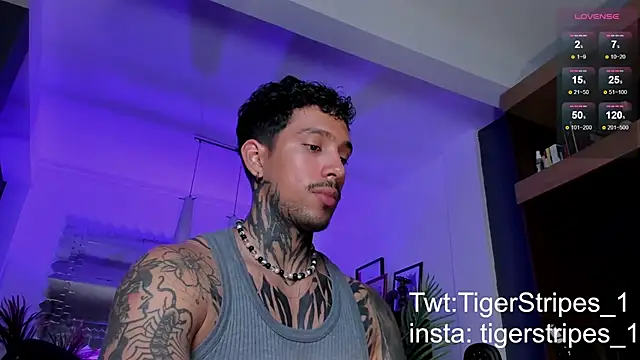 Snapshot of TigerStripes1_ chatting on March 2025 01:47:02 AM TigerStripes1 online show from March 2025 01:47:02 AM