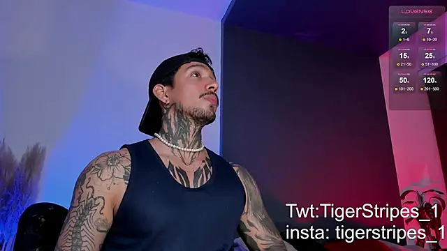 Snapshot of TigerStripes1_ chatting on March 2025 12:25:02 AM TigerStripes1 online show from March 2025 12:25:02 AM