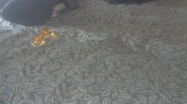 Snapshot of michaelknight101 chatting on December 2024 01:22:01 PM michaelknight101 online show from December 2024 01:22:01 PM