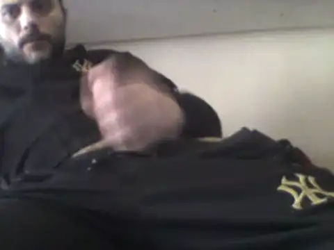 Snapshot of coppiasenzacensura chatting on February 2025 01:38:02 PM coppiasenzacensura online show from February 2025 01:38:02 PM