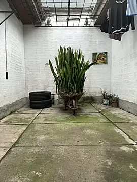 oliver price1 online show from November 2025 09:14:02 PM